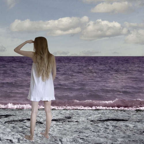 The Purple Sea